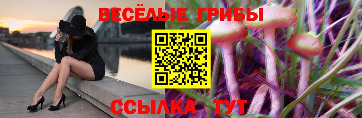 Псилоцибиновые грибы Psilocybine cubensis Сергиев Посад